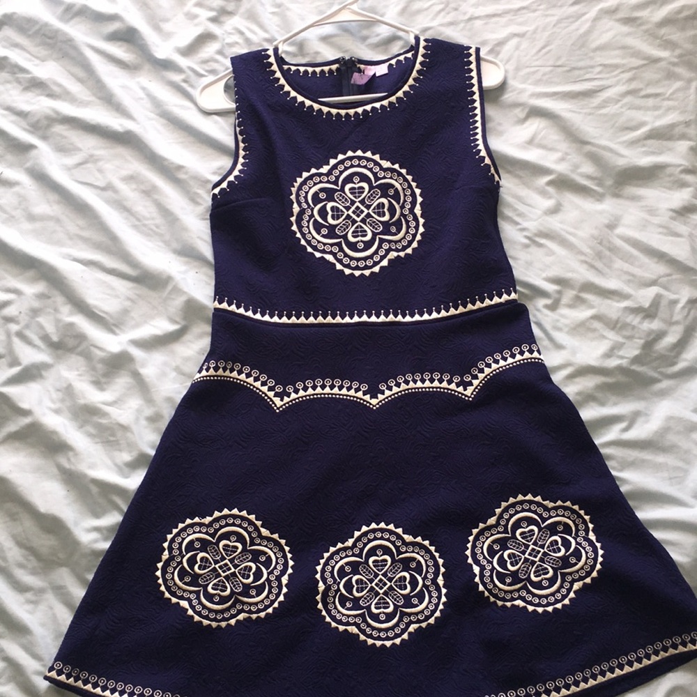 Mandala Embroidered Navy Skater Dress